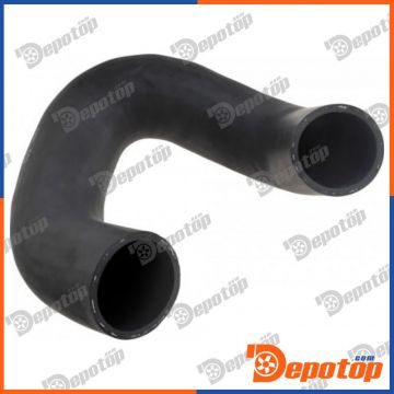 Gaine de suralimentation pour RENAULT | GPP-PL-008, 4419135